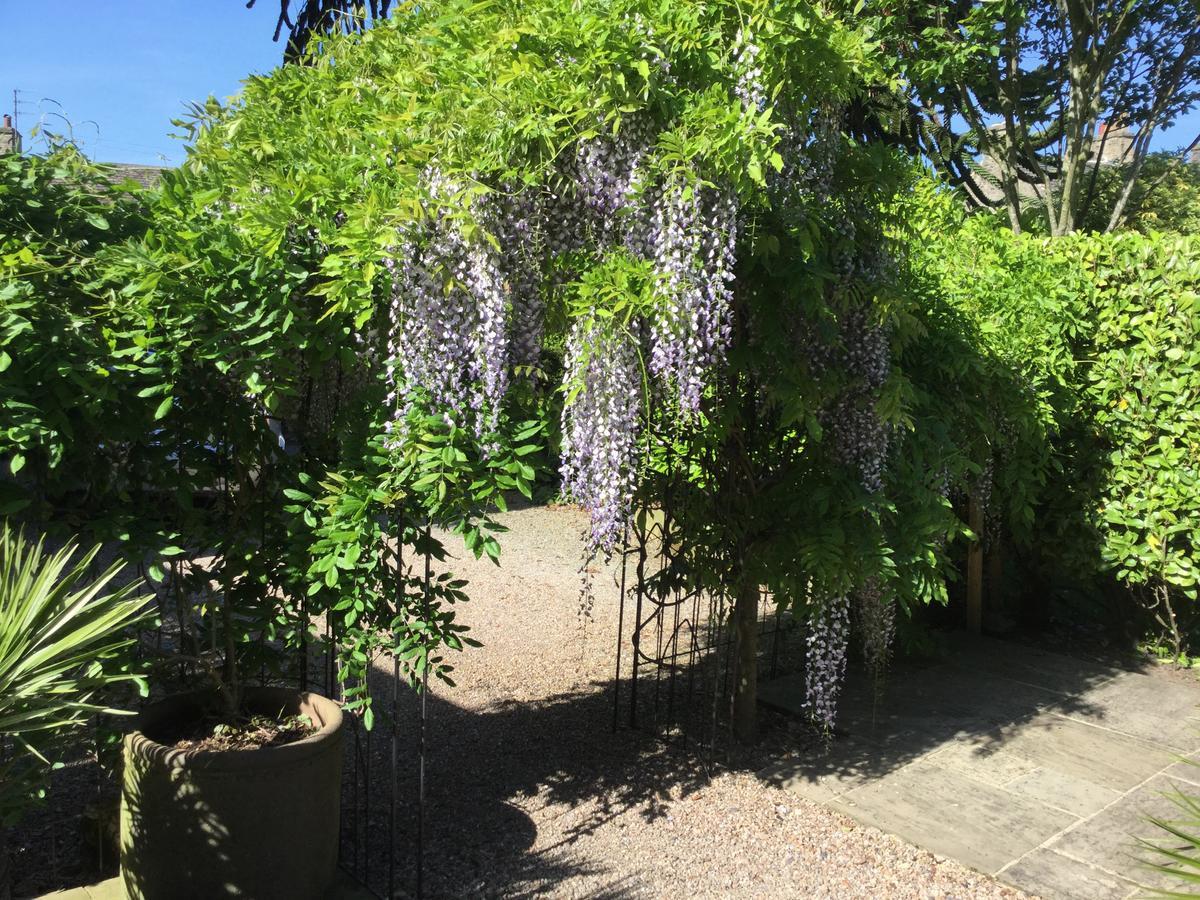 Cononley Hall Bed & Breakfast Bed and Breakfast Skipton Exterior foto